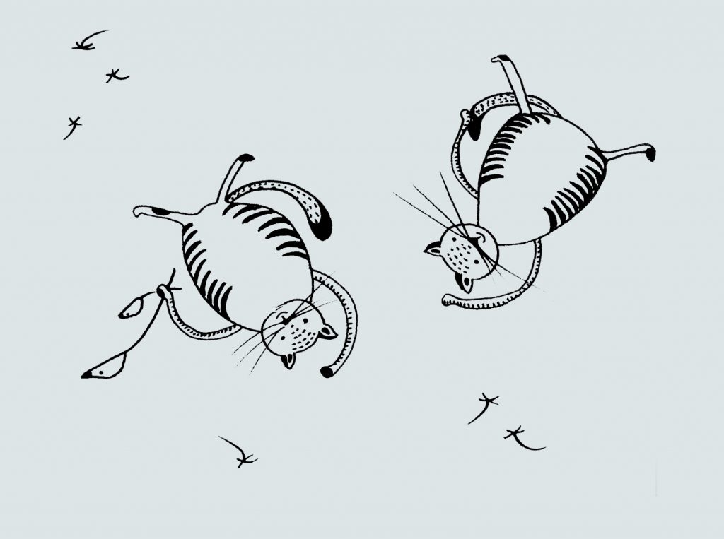 Sky diving cats2 by Some small stories