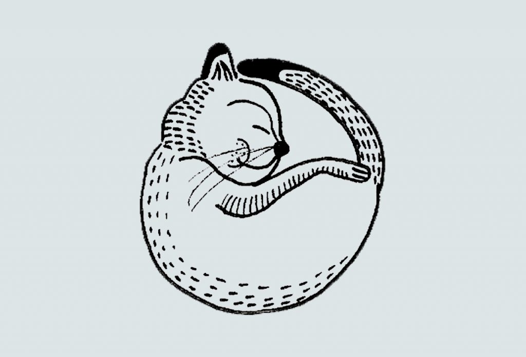 Snoozing cat by Some small stories